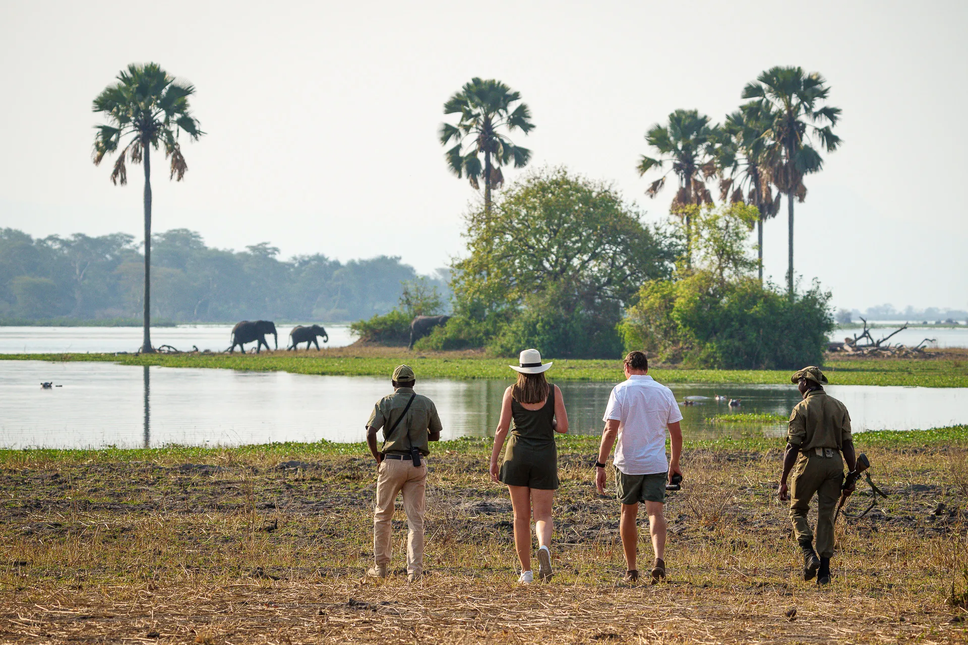 Family and Group Tours